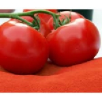 蕃茄粉(1公斤)