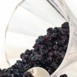 康達[植栽]藍莓乾(20磅)約9公斤/箱