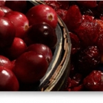 美國蔓越莓乾-切片(25磅)約11.3公斤/箱